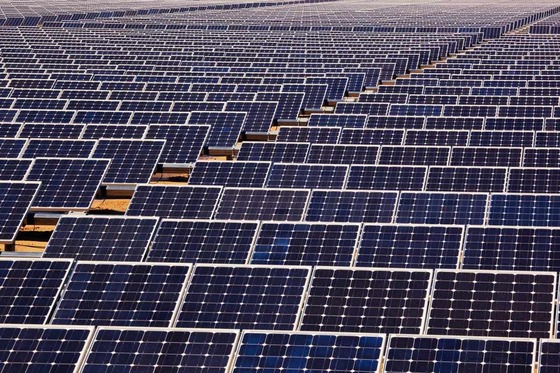 Expansive solar panel farm, representing sustainable energy solutions for Real Estate & Giga-Projects in Saudi Arabia.
